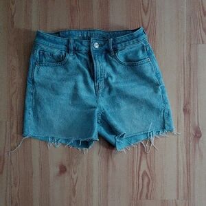 American Eagle Strigid Denim Shorts
